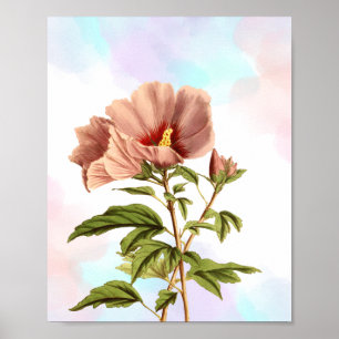 Eleganter Hibiskus Blume Botanische Schrift Poster