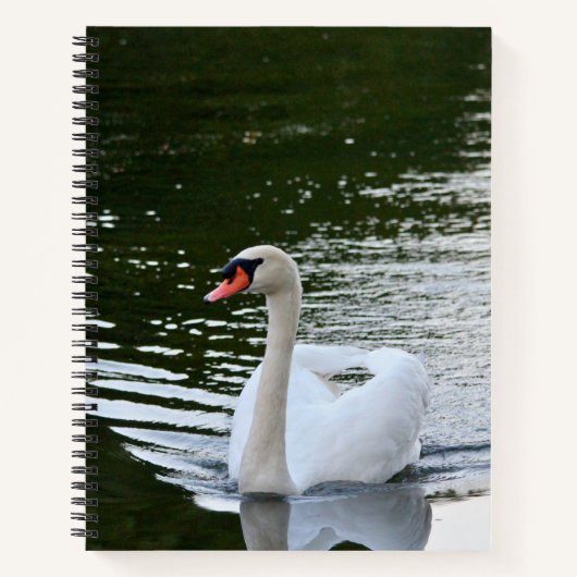 Eleganter Höckerschwan Notizblock (Vorderseite)