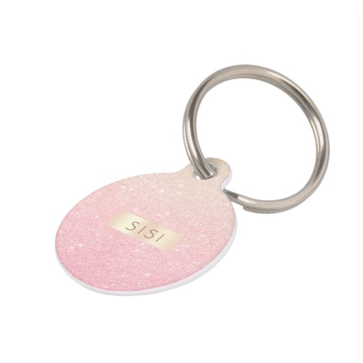 Eleganter hübscher Gürtelgradientengold-Glitzer Haustiermarke (Seite)