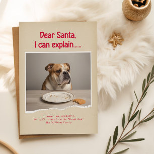 Eleganter Humorvoll Lustiger Hund Haustier Familie Postkarte