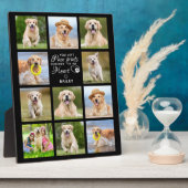 Eleganter Hund-Gedenkgeschenk Pet Loss Keepake Fotoplatte (Seite)