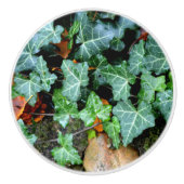 Eleganter klassischer Ivy und Felsstein Keramikknauf (Vorderseite)