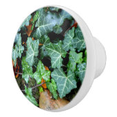 Eleganter klassischer Ivy und Felsstein Keramikknauf (Rechts)