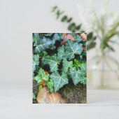Eleganter klassischer Ivy und Felsstein Postkarte (Stehend Vorderseite)
