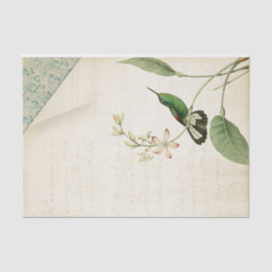 Eleganter Kolibri-Ephemere Seidenpapier
