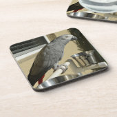 Eleganter Kongo Afrikanischer Grau-Papagei auf Sta Getränkeuntersetzer (Linke Seite)