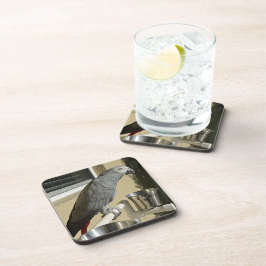 Eleganter Kongo Afrikanischer Grau-Papagei auf Sta Getränkeuntersetzer (Rechte Seite)