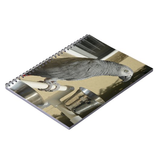 Eleganter Kongo Afrikanischer Grau-Papagei auf Sta Notizblock (Linke Seite)