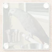 Eleganter Kongo-Grau-Papagei auf Stand Glasuntersetzer (Rückseite)