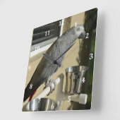 Eleganter Kongo-Grau-Papagei auf Stand Quadratische Wanduhr (Winkel)