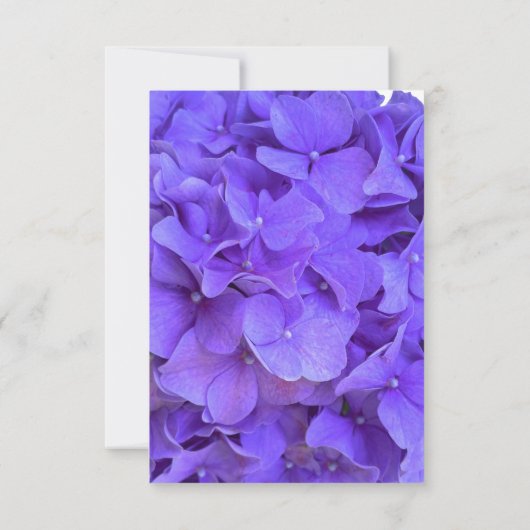 Eleganter lila Hydrangeas Lavender UAWG RSVP Karte (Rückseite)