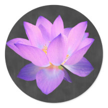 Eleganter Lila Lotus Sticker