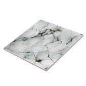 Eleganter Marmor mit Gold- und Kupferstichen Fliese (Seite)