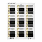 Eleganter, moderner Ananas mit schwarz-weißen Stre (Vorne)