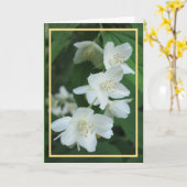 Eleganter moderner Jasmine-Blume Foto Goldener Rah Karte (Gelbe Blume)