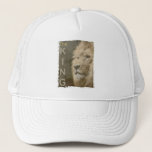 Eleganter moderner Pop Art Lion Kopfvorlage Truckerkappe<br><div class="desc">Elegant Moderne Pop Art Löwe Kopf Template hinzufügen Logo Logo Foto Basic Trucker Hut.</div>