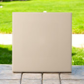 Eleganter monochromer Putty Modern Earth Tone Fliese