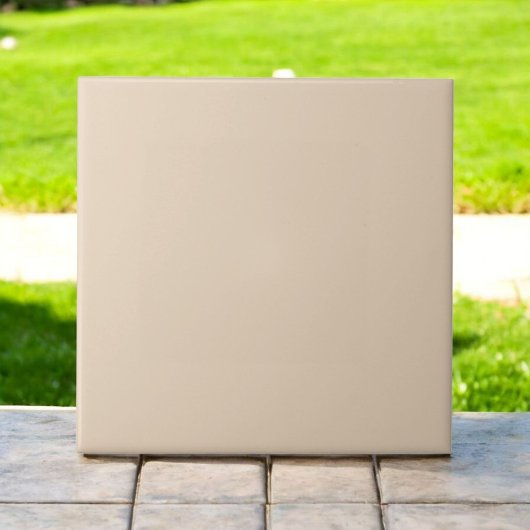 Eleganter monochromer Putty Modern Earth Tone Fliese