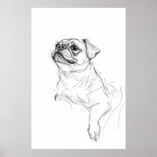Eleganter Mops Portrait Sketch - Premium Poster (Vorne)