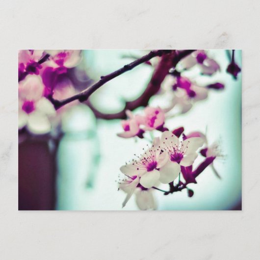 ELEGANTER NAME mit CHERRY BLOSSOMS Geschenkgutsche (Rückseite)