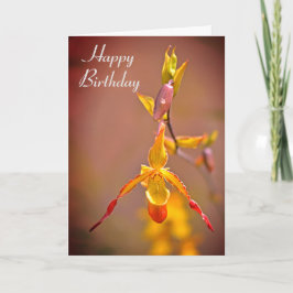 Eleganter Orange Gelb Orchid Blume Happy Birthday Karte