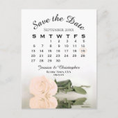 Eleganter Peach Rose Wedding Calendar Save the Dat Ankündigungspostkarte (Vorderseite)