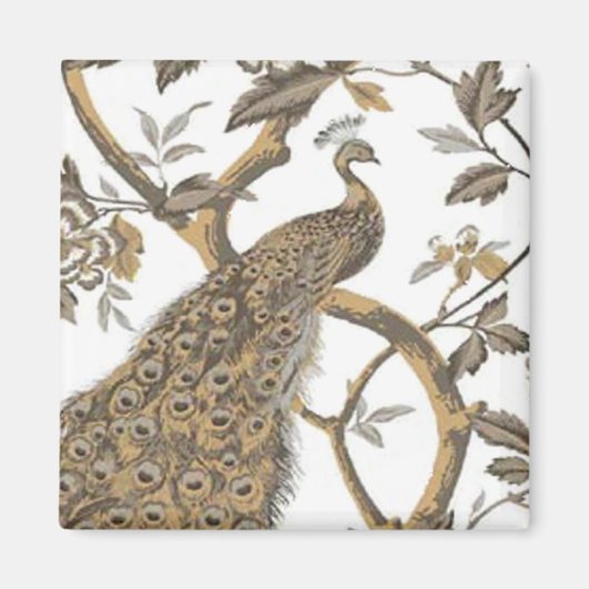 Eleganter Pfau auf weißem Magnet (Vorne)