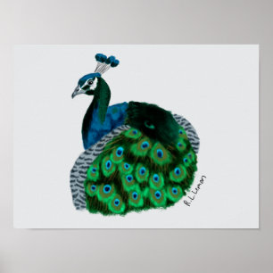 Eleganter Pfauen Kunstposter Poster
