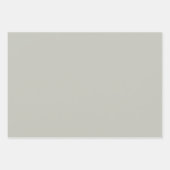 Eleganter, raffinierter Weise Minimalistisch und e Geschenkpapier Set (Vorderseite)