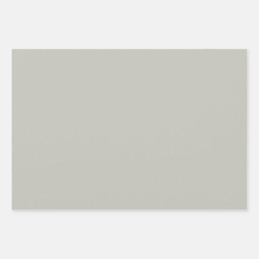 Eleganter, raffinierter Weise Minimalistisch und e Geschenkpapier Set (Vorderseite)