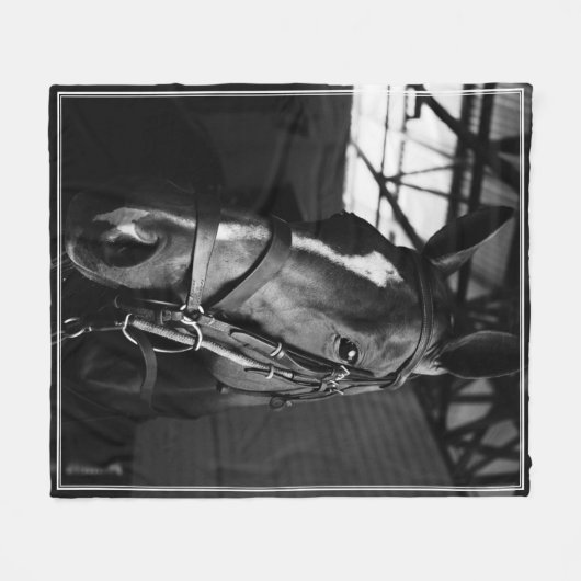 Eleganter Rahmen für das Foto von Pferden Fleecedecke (Vorderseite (Horizontal))