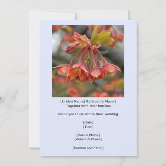 Eleganter Red Maple Tree Blume Cluster Hochzeit Einladung