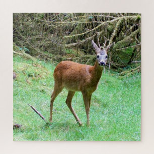 Eleganter Rehbock Waldszene Entspannung Natur Puzzle
