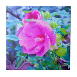 Eleganter Rosa Hibiskus Blume mit Aqua Foliage Fliese