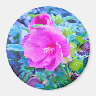 Eleganter Rosa Hibiskus Blume mit Aqua Foliage Magnet