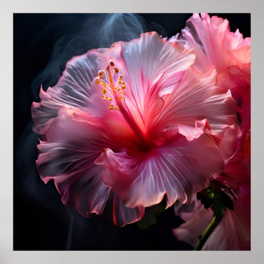 Eleganter rosa Hibiskus Poster (Vorne)