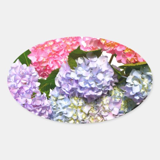 Eleganter, rosa, lila-blauer Hydrangea-Bouquet Ovaler Aufkleber (Vorderseite)