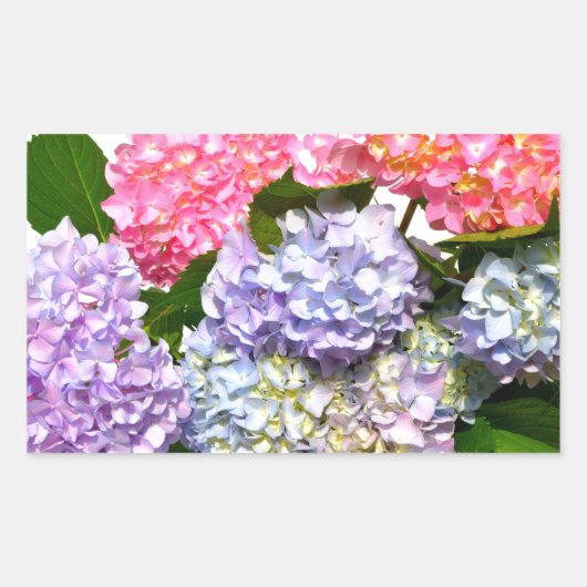 Eleganter, rosa, lila-blauer Hydrangea-Bouquet Rechteckiger Aufkleber (Vorderseite)