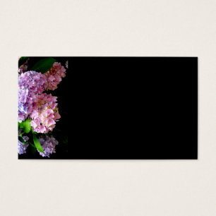 Eleganter, rosa, lila blauer Hydrangea-Garten