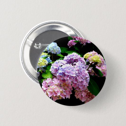 Eleganter, rosa, lila blauer Hydrangea-Garten Button (Vorne & Hinten)