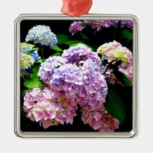 Eleganter, rosa, lila blauer Hydrangea-Garten Silbernes Ornament (Vorne)