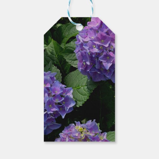 Eleganter, rosa Magenta lila Blumengarten Geschenkanhänger (Rückseite)