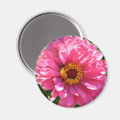 Eleganter Rosa Retro Rosa-Département Magnet (Vorderseite/Rückseite)