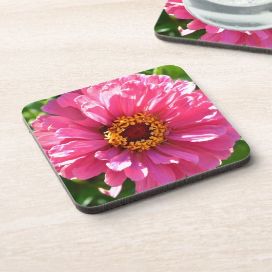 Eleganter Rosa Retro Rosa-Département Untersetzer (Linke Seite)