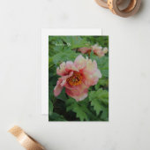 Eleganter Rosa Ton Peony Mitteilungskarte (Vorderseite/Rückseite Beispiel)