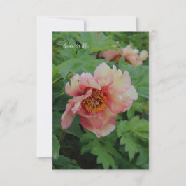 Eleganter Rosa Ton Peony Mitteilungskarte