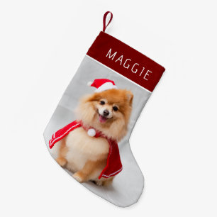 Eleganter roter Hund Foto mit individuellem Namen Kleiner Weihnachtsstrumpf