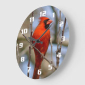 Eleganter Roter Kardinal Große Wanduhr (Winkel)