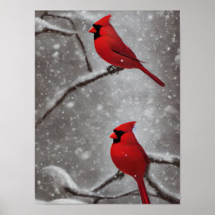 Eleganter Roter Kardinal Vogelart Poster