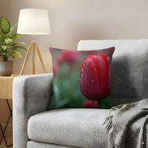 Eleganter Roter Tulip mit Taubentropfen